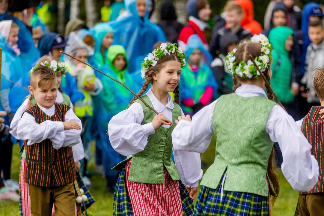 Piknikas Nemuno saloje tarp sakurų