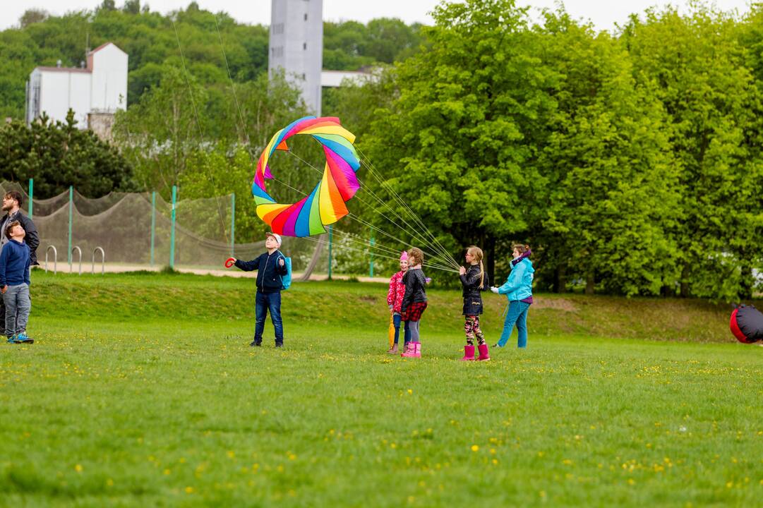 Piknikas Nemuno saloje tarp sakurų
