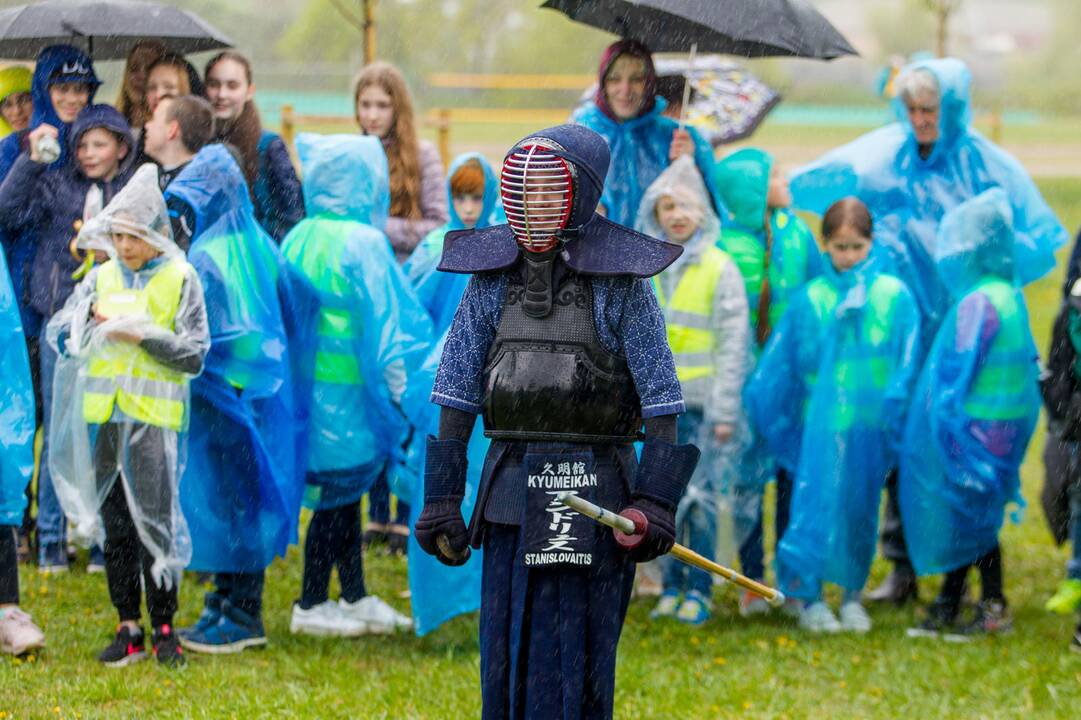 Piknikas Nemuno saloje tarp sakurų