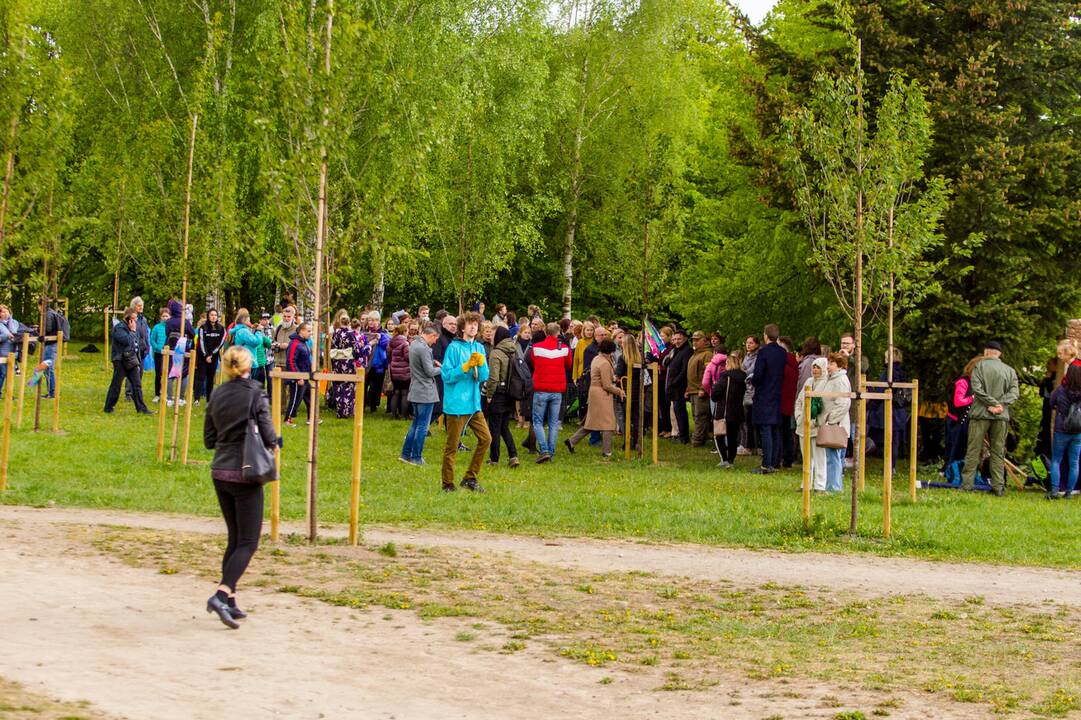 Piknikas Nemuno saloje tarp sakurų