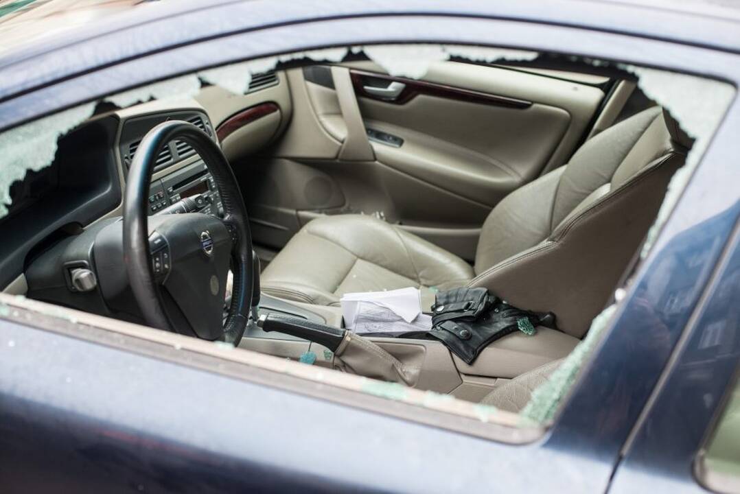Detektyvas su „Volvo“ kaliniu: sutirštintos spalvos ar pamokanti istorija?