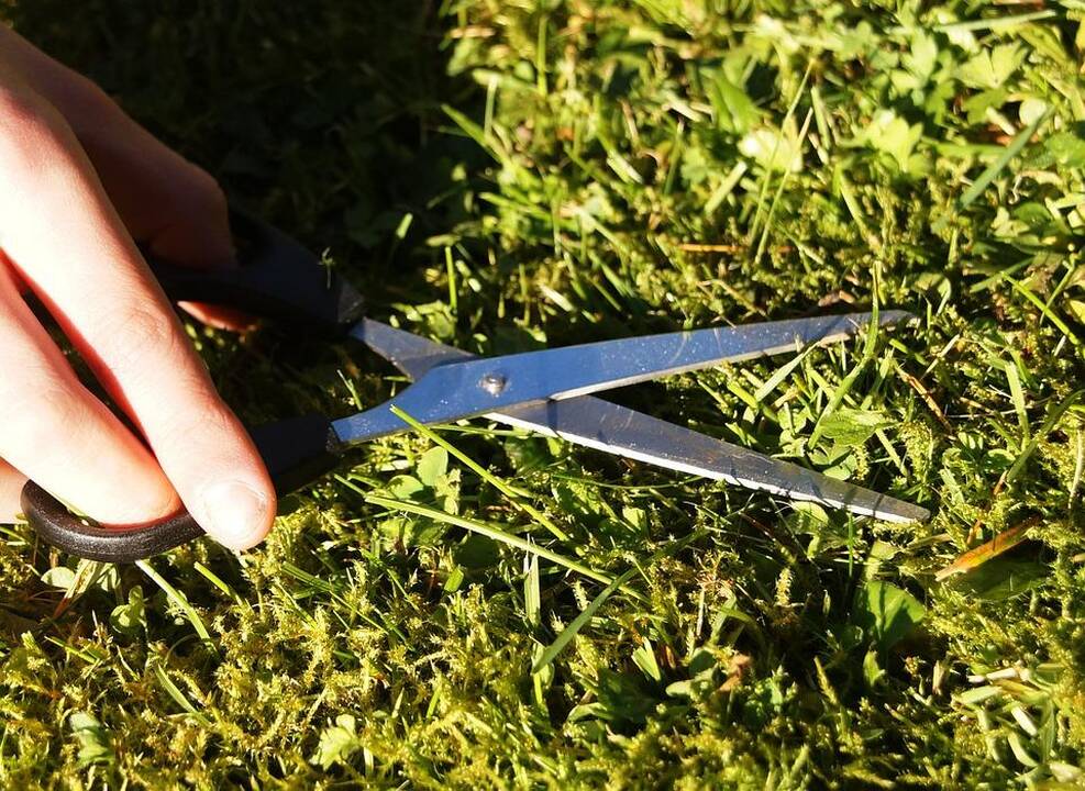 Aplinkos tvarkymo darbai: kaip juos palengvinti?