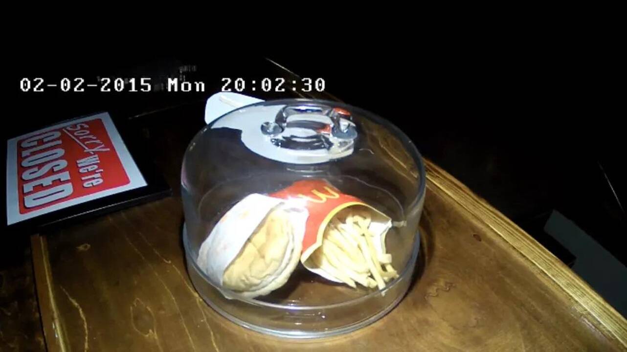 Interneto naudotojai jau dešimtmetį stebi „McDonald's“ mėsainio irimo procesą