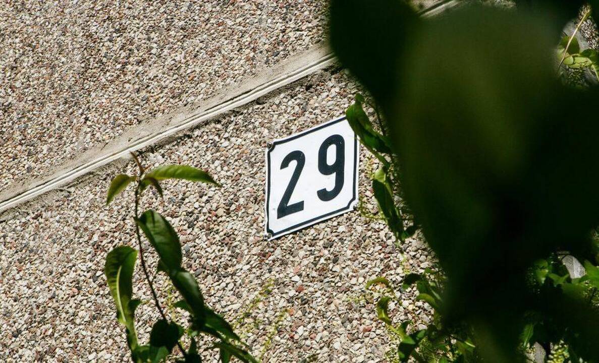 Rytis Gudynas (kairėje) ir Deividas Ščesnavičius (dešinėje)  