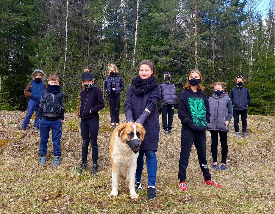 Atsidavimas: "Nesu supermama", – sako V.Sikorskienė, dabar jau viena globojanti devynis vaikus.
