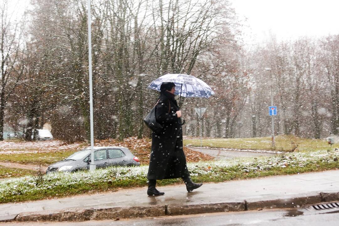 Prognozės: kada pasirodys pirmosios snaigės?