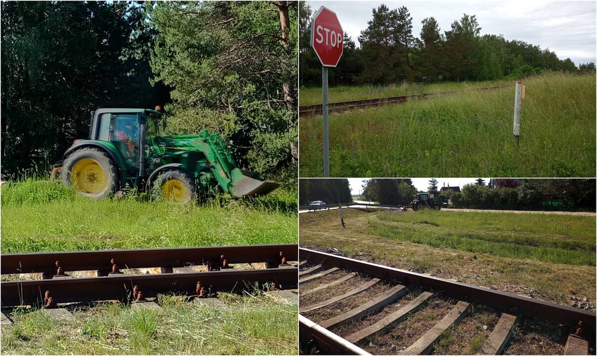 Nupjovė: geležinkelininkai po skundų pasirūpino eismo saugumu – iki tol Kiškėnų pervaža skendėjo žolėse.