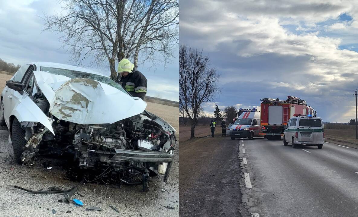 Nelaimė Panevėžio rajone: merginos vairuojamas „Seat“ rėžėsi į medį 