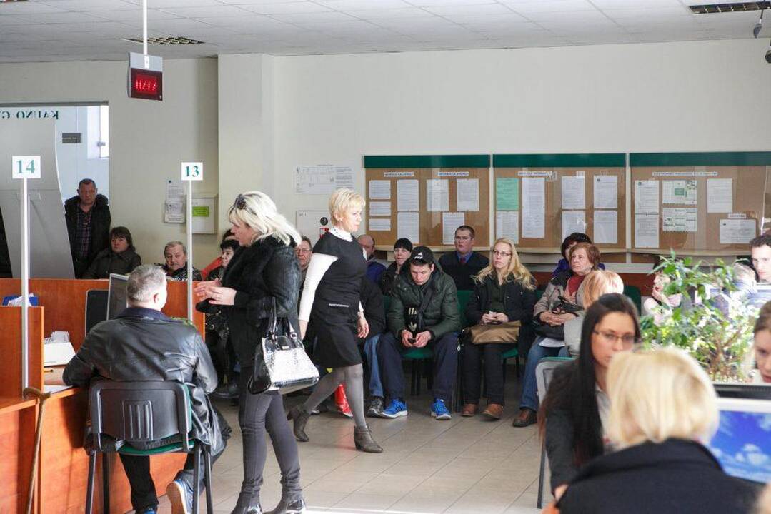 Pajamų deklaravimas: svarbiausia informacija kauniečiams