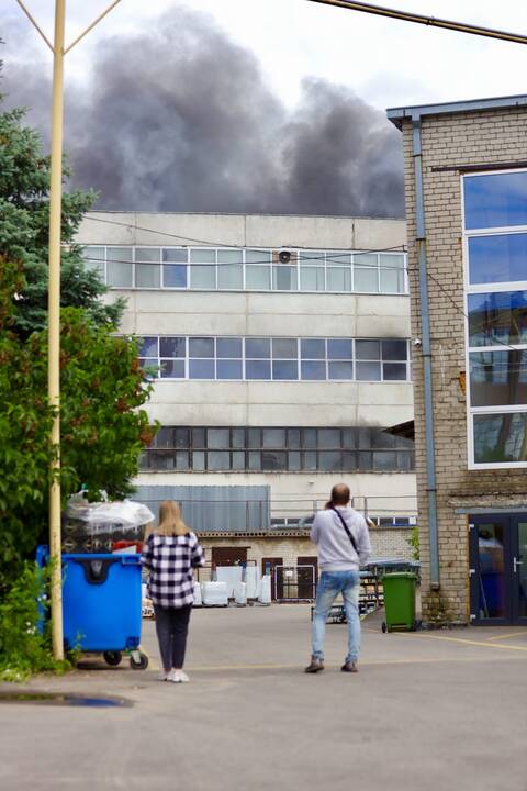 Atvira liepsna niokojo „Kauno baldus“ 