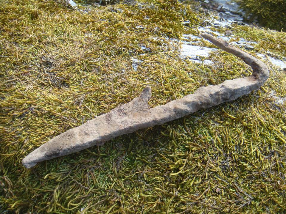 Praverčia: archeologai patvirtina, kad profesionalių metalo ieškiklių naudotojų pagalba yra naudinga atliekant tyrimus.