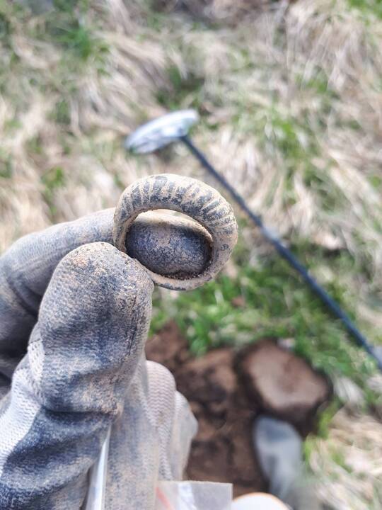 Praverčia: archeologai patvirtina, kad profesionalių metalo ieškiklių naudotojų pagalba yra naudinga atliekant tyrimus.