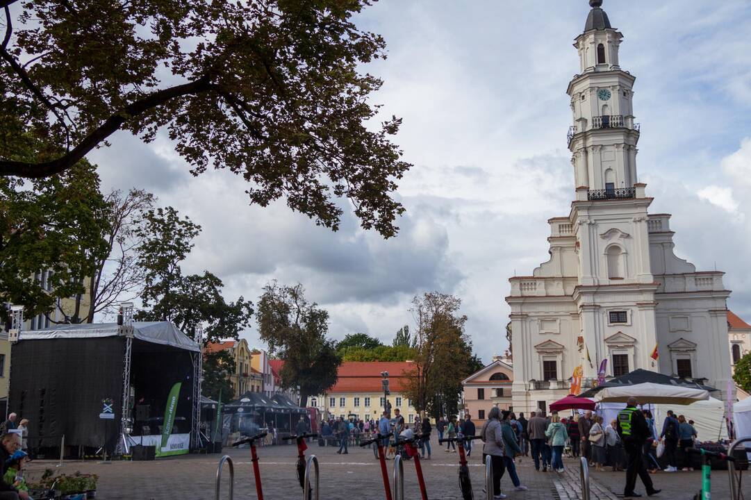 „Kauno mugė – Ruduo 2019“