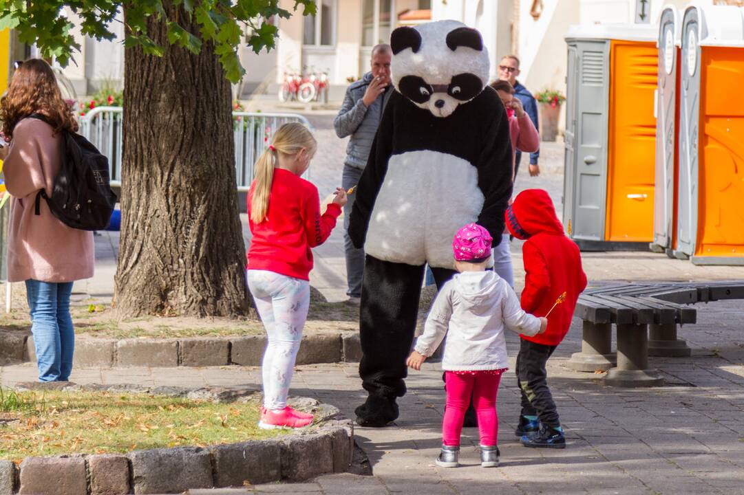 „Kauno mugė – Ruduo 2019“