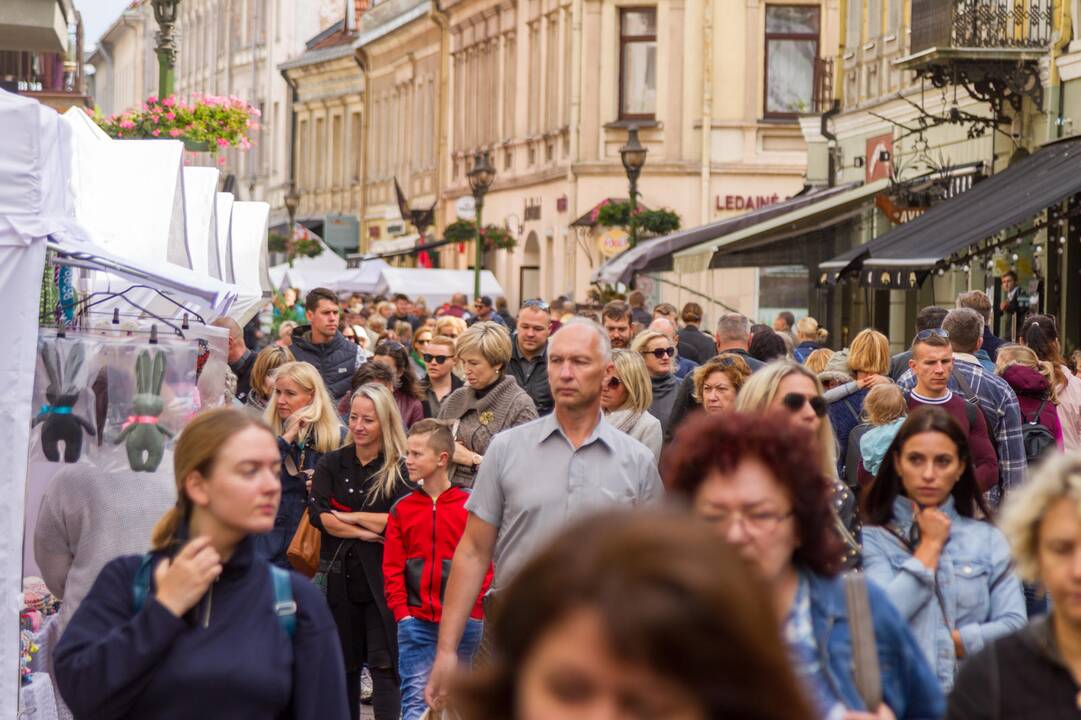 „Kauno mugė – Ruduo 2019“