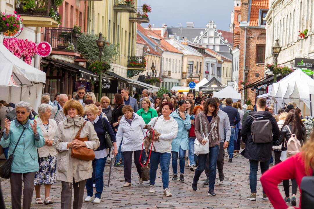 „Kauno mugė – Ruduo 2019“
