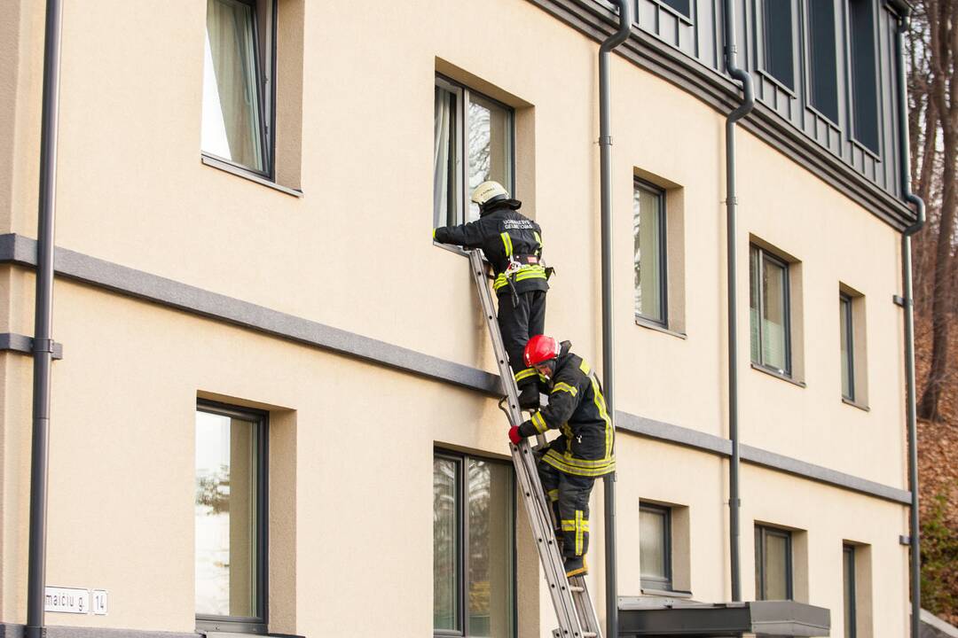 Asilo sulaikymas Žemaičių gatvėje