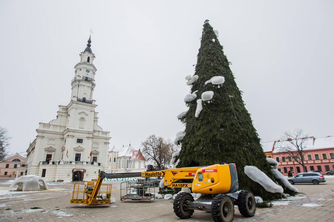 Kaunas atsisveikina su Kalėdų egle