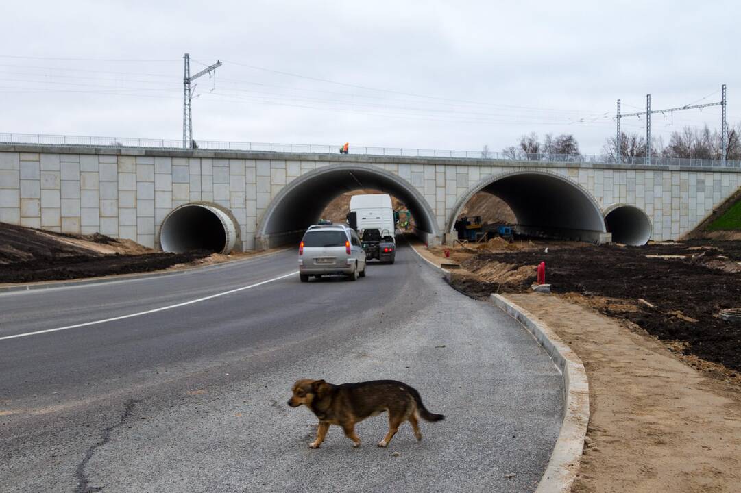 Automobilių eismas Amalių tuneliu