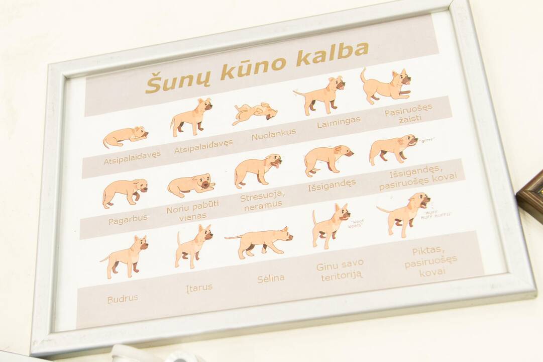 Gyvūnų paroda 2020