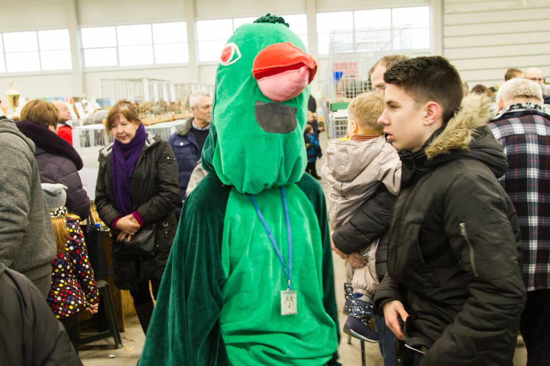 Gyvūnų paroda 2020