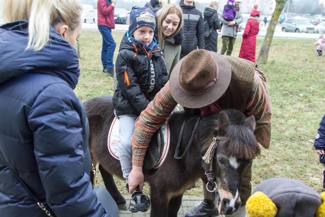 Gyvūnų paroda 2020