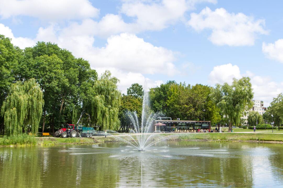 Į Kalniečių parko tvenkinį įleistos žuvys