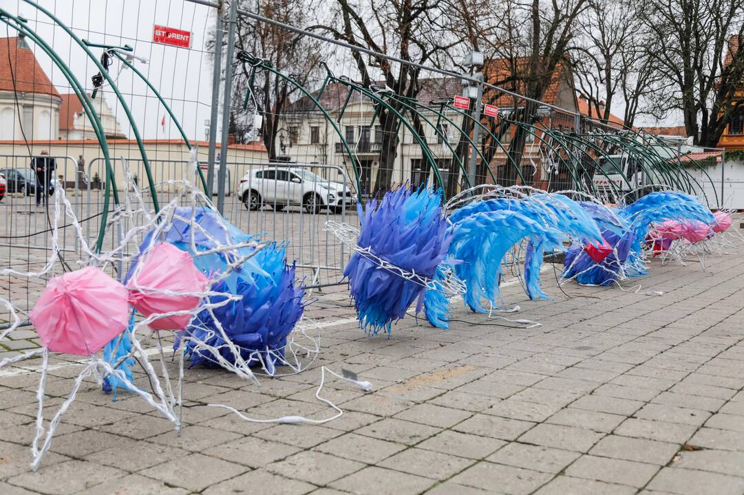 Kauno kalėdinės eglutės pristatymas