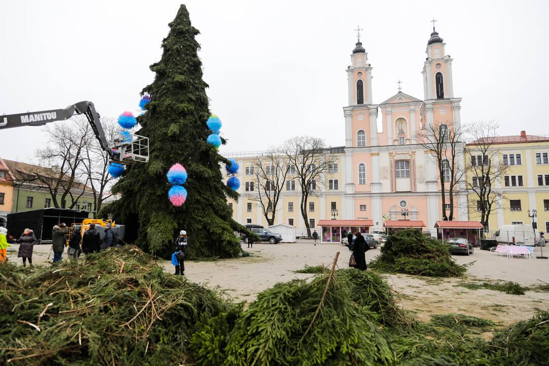 Kauno kalėdinės eglutės pristatymas