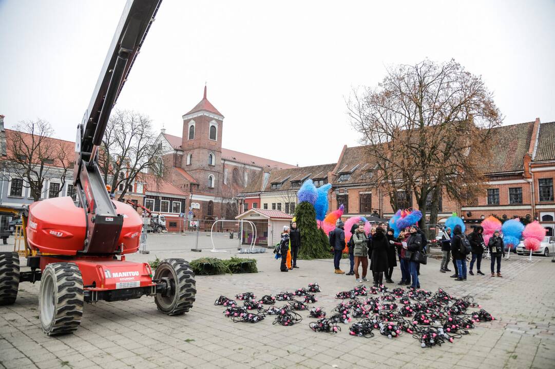 Kauno kalėdinės eglutės pristatymas