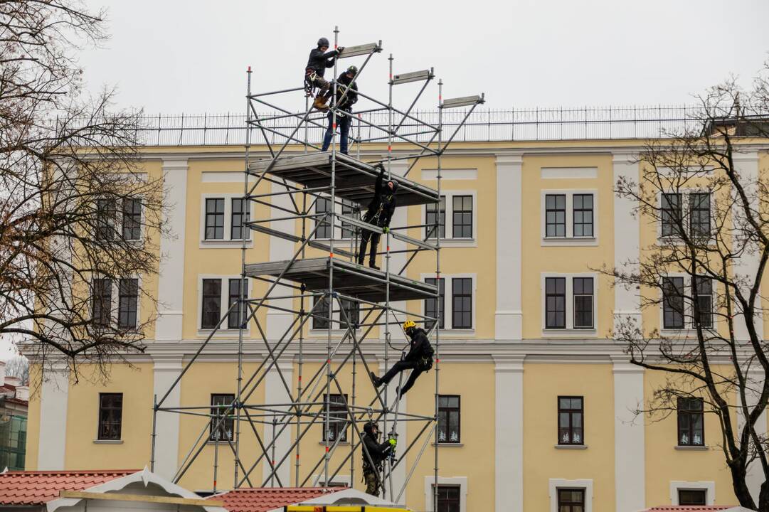 Kauno kalėdinės eglutės pristatymas