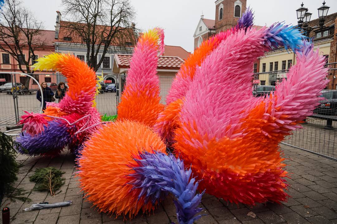 Kauno kalėdinės eglutės pristatymas