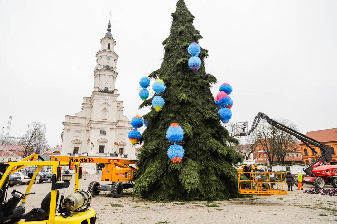 Kauno kalėdinės eglutės pristatymas