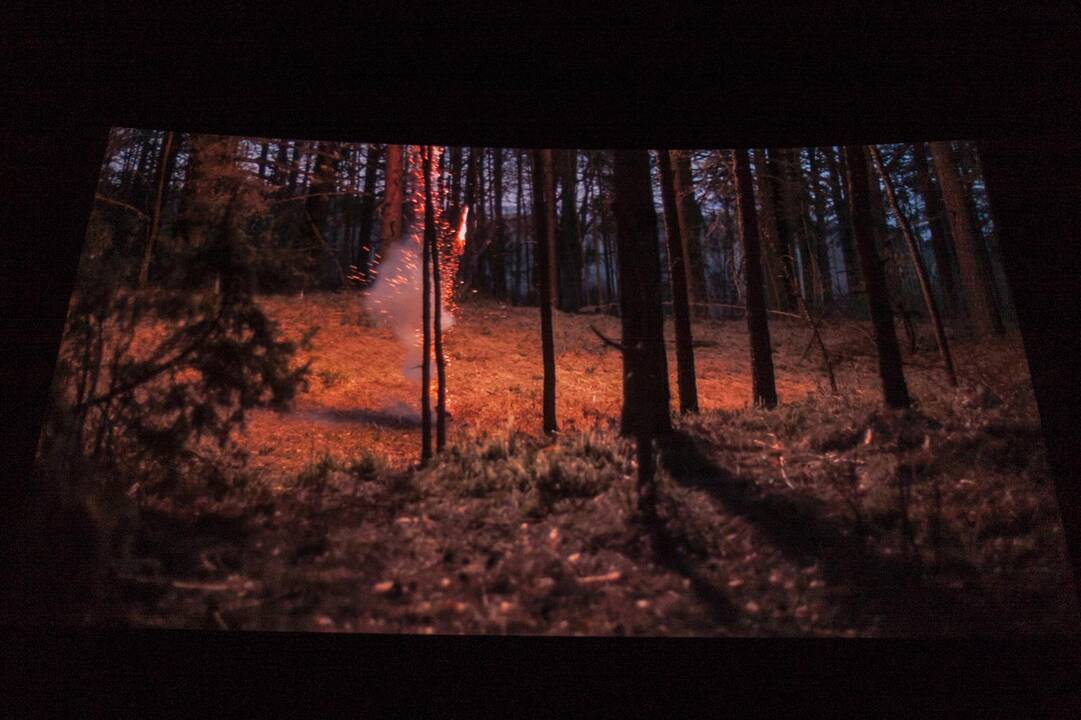 Kaune pristatytas laurus skinantis lietuviškas filmas „Rūgštus miškas“