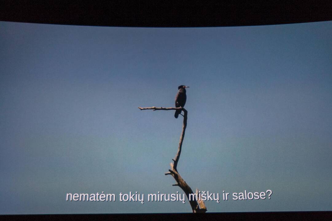 Kaune pristatytas laurus skinantis lietuviškas filmas „Rūgštus miškas“