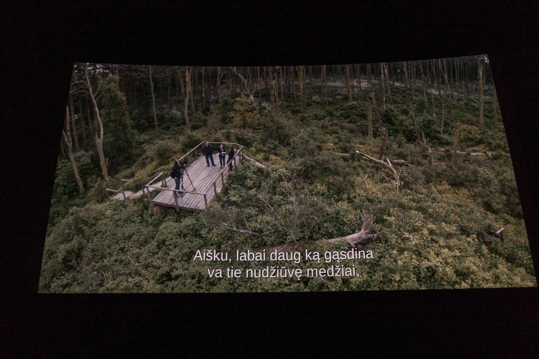 Kaune pristatytas laurus skinantis lietuviškas filmas „Rūgštus miškas“