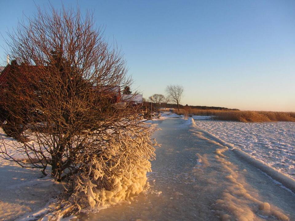 Nidoje gamtos išdaigos – suoliuką apdengė storas ledo sluoksnis