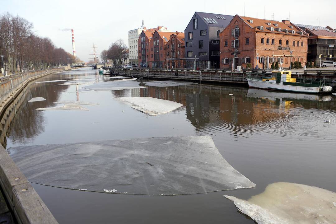 Į pajūrį sugrįžęs šaltukas laikysis visą savaitę