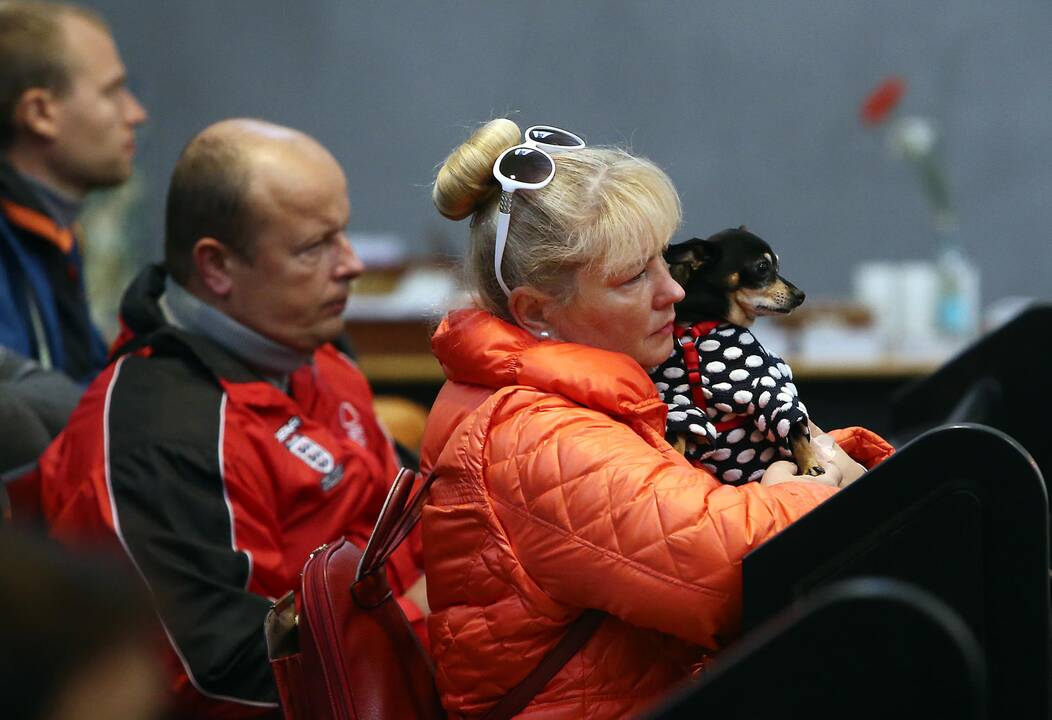 Gyvūnų diena Kaune