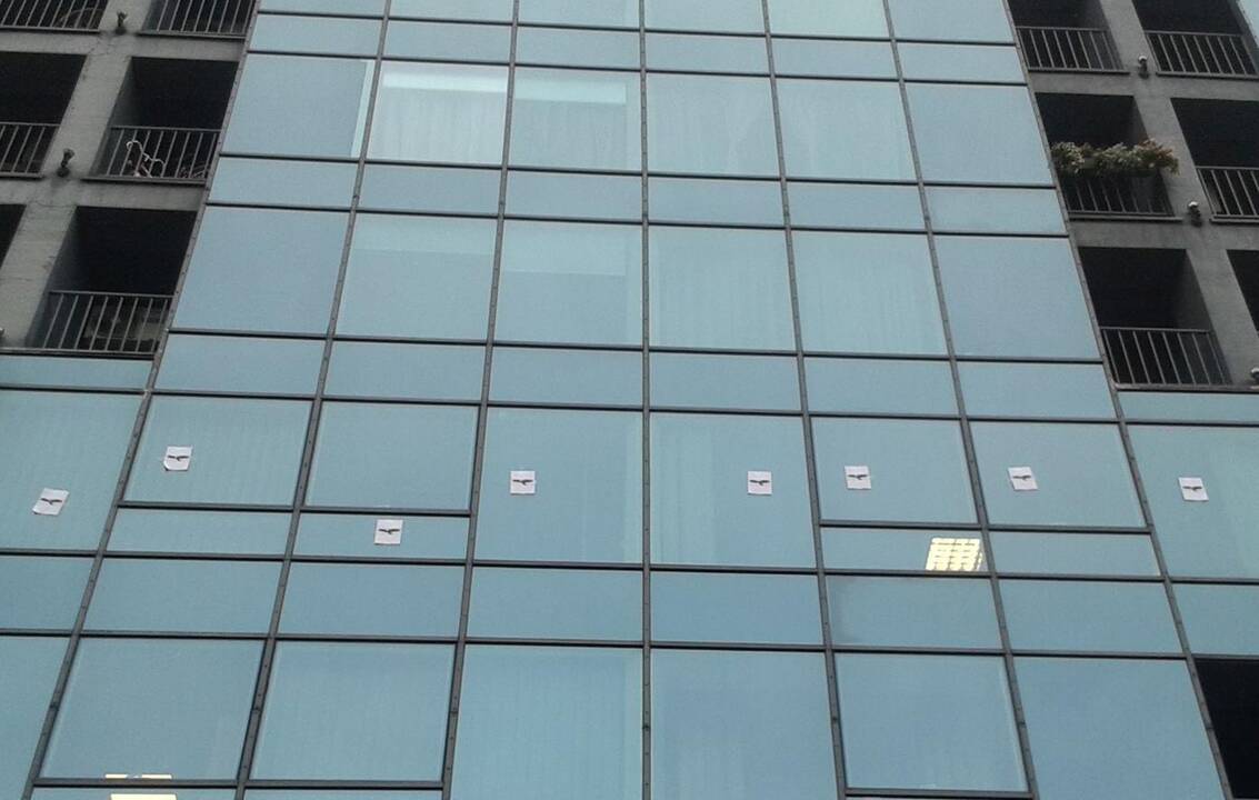 Miestiečius negyvi nykštukai pasitinka kone kiekvieną rytą.