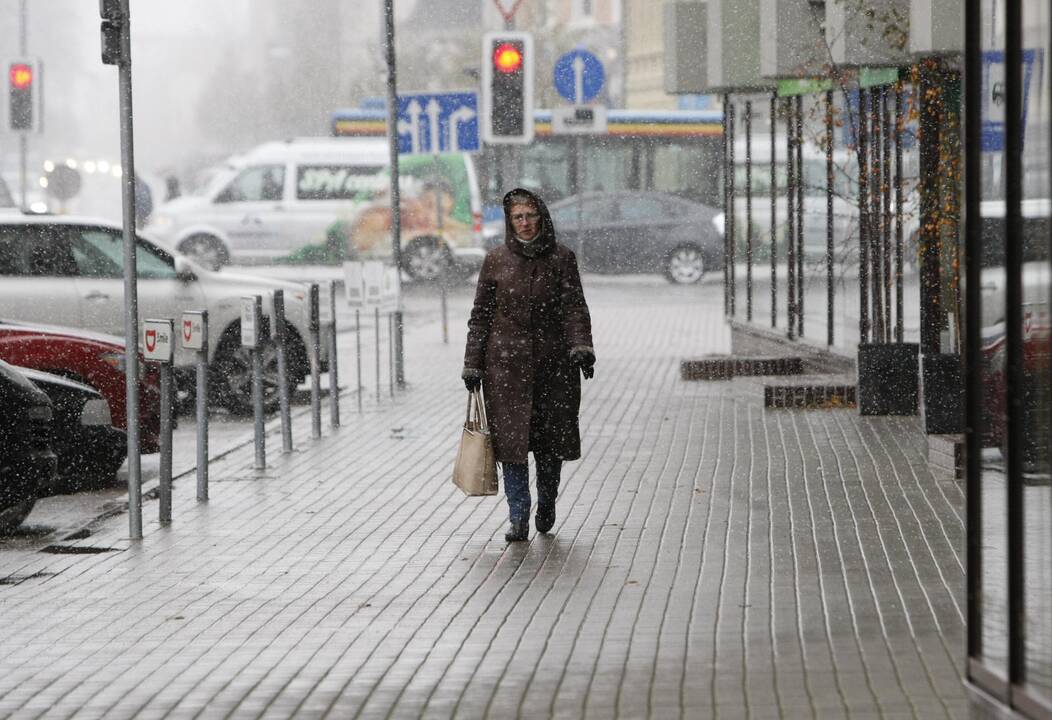 Pirmasis sniegas Klaipėdoje