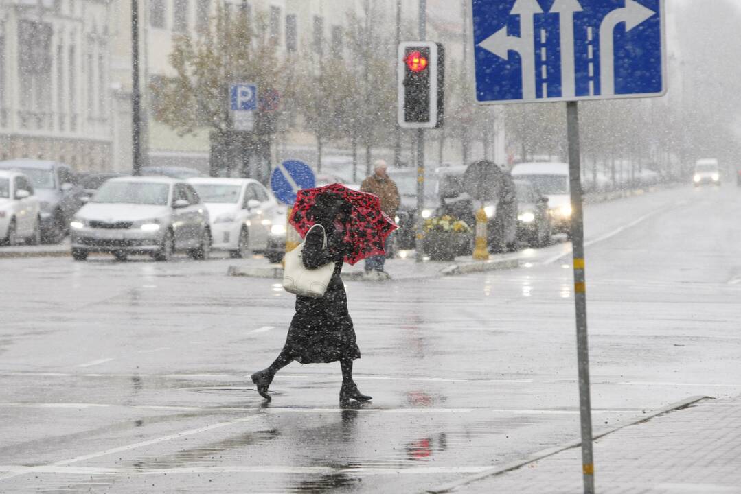 Pirmasis sniegas Klaipėdoje