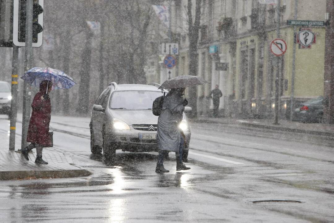 Pirmasis sniegas Klaipėdoje
