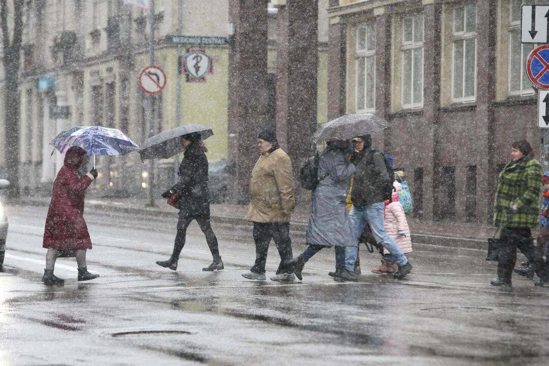 Pirmasis sniegas Klaipėdoje