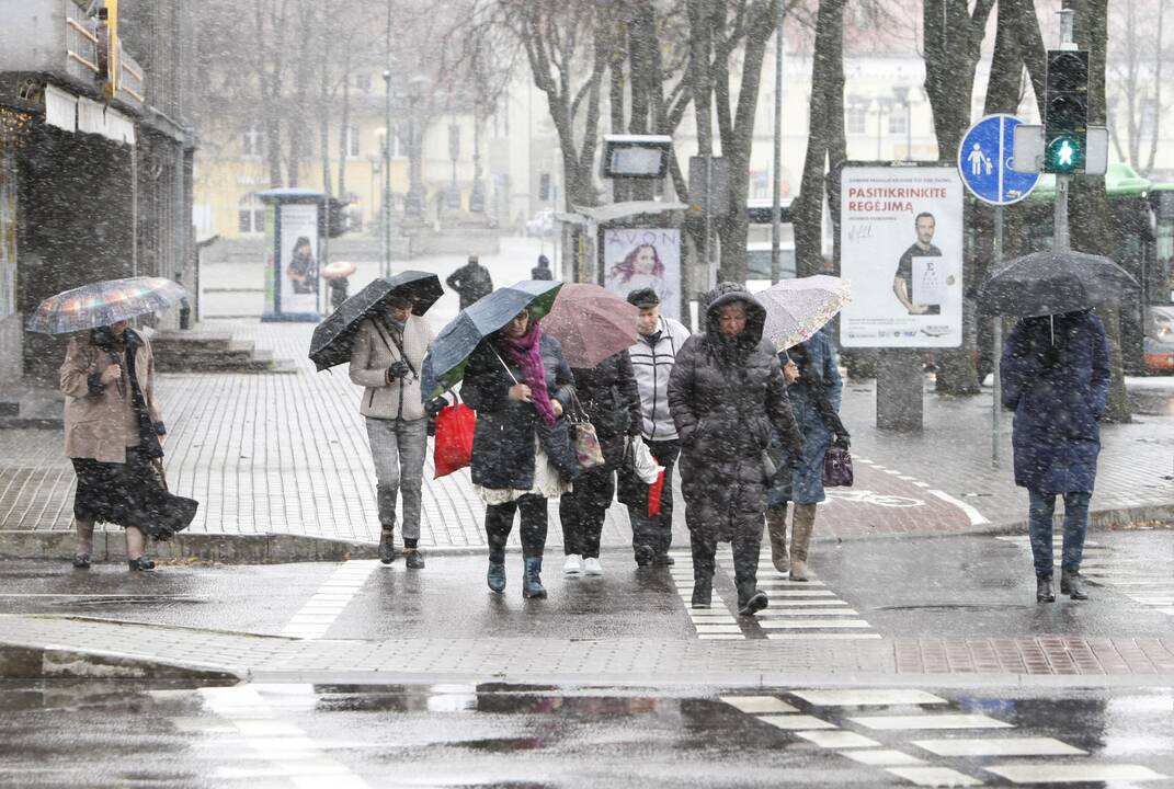 Pirmasis sniegas Klaipėdoje