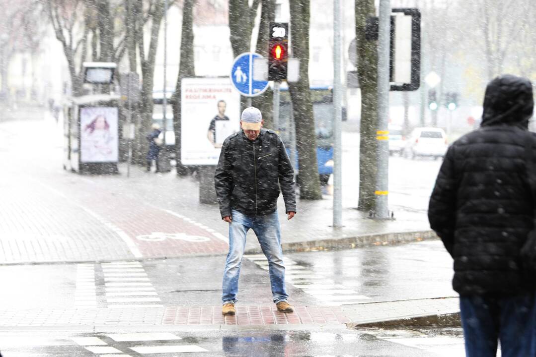 Pirmasis sniegas Klaipėdoje