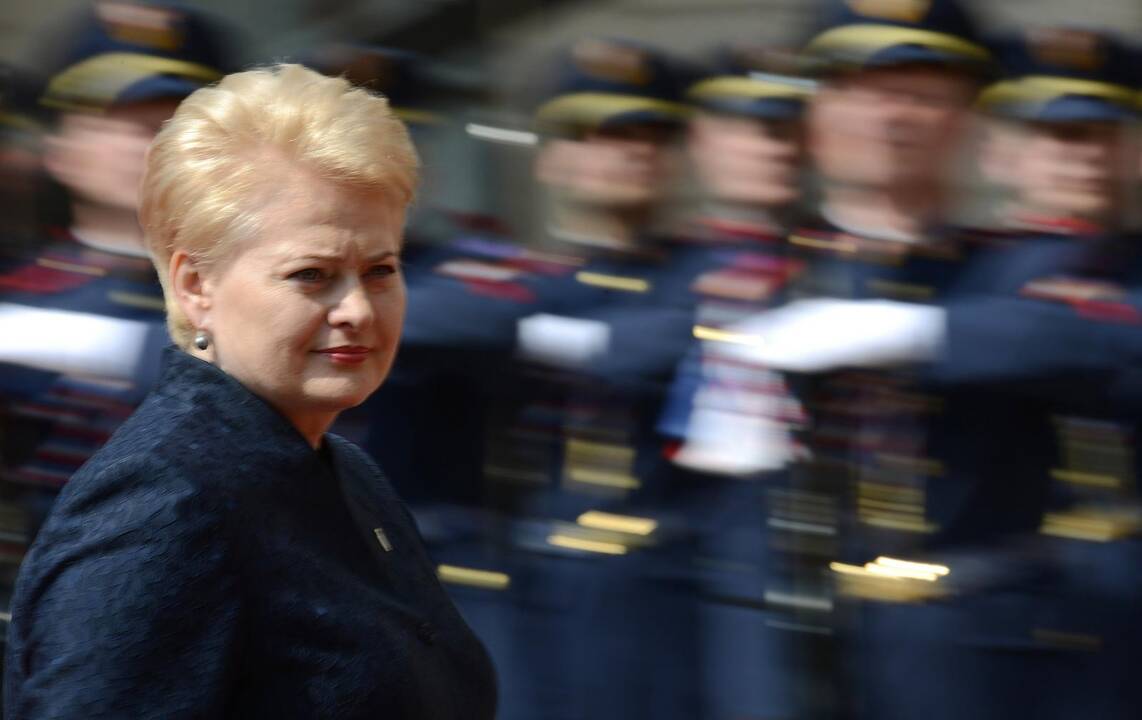 D. Grybauskaitė: provokacijomis siekiama sužlugdyti Ukrainos prezidento rinkimus