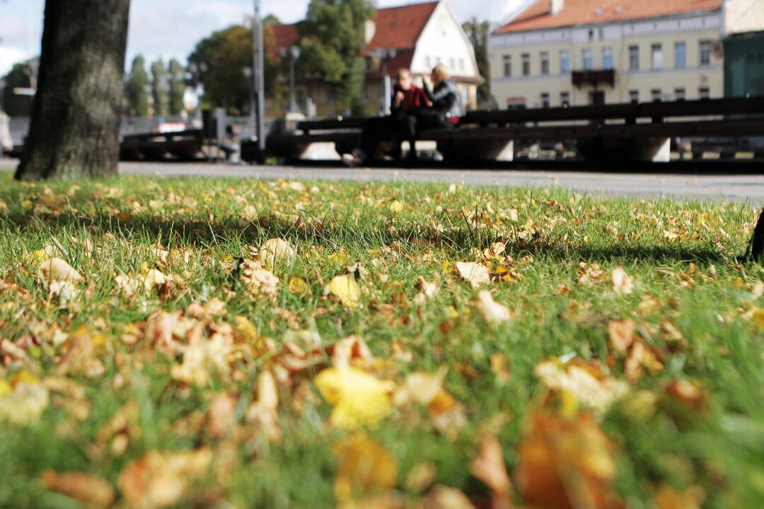 Pokyčiai: vasariški orai klaipėdiečius džiugins iki antradienio, vėliau apniuks dangus ir sustiprės vėjas.