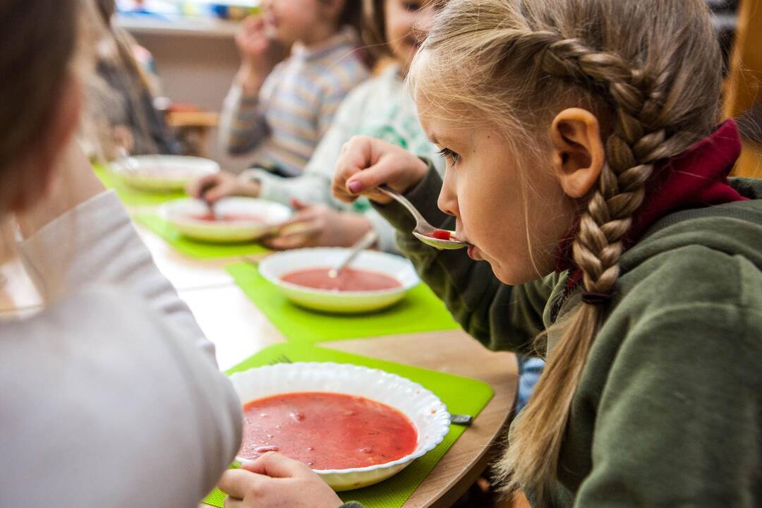 Keturiuose Vilniaus darželiuose įtariamas salmoneliozės protrūkis