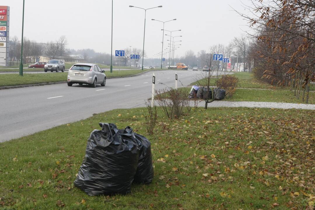 Gudrybė: gyventojai nevengia pakelėse palikti iš savo kiemų sugrėbtų lapų.